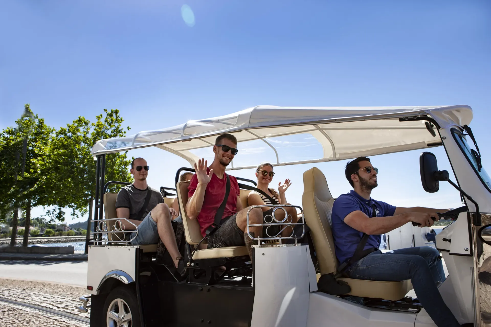 Electric golf cart